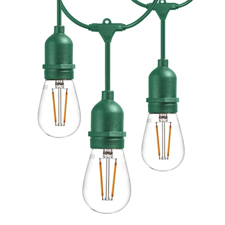 48-ft String Lights W/(16) Plastic LED Filament Bulbs Included, Green Cord